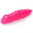 Pupa 1.5
